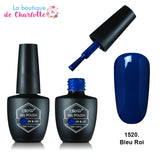 Comment faire un nail art ? Effet Chat Métallique POUR MANUCURE