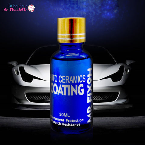 LUSTREUR PROTECTEUR POUR AUTO