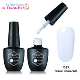 Comment faire un nail art ? Effet Chat Métallique POUR MANUCURE